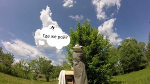 «Веселые ребята 2». Или как мы укротили пчёлок!