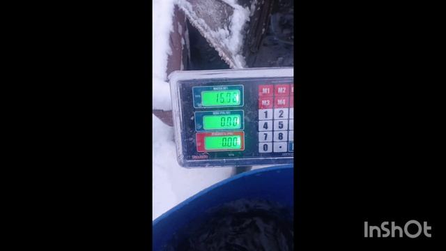 1000137262.mp4 смотреть онлайн