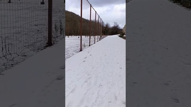 ЖК Кипарис Сукко под снегом. 2 января 2026. Явление довольно редкое.Не каждый новый год увидишь снег смотреть онлайн