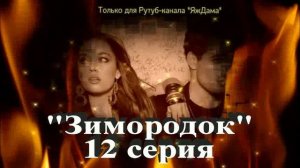 Впечатления от 12 серии турецкого сериала "Зимородок"