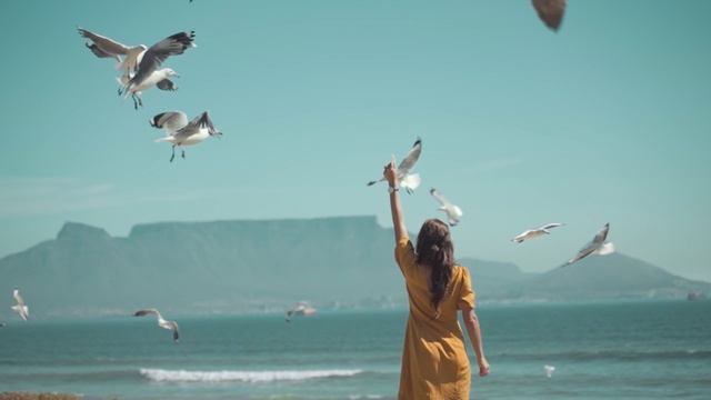 "Прилетают "птицы"..." смотреть онлайн