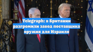 Telegraph: в Британии разгромили завод поставщика оружия для Израиля