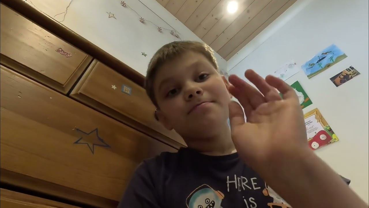 Распаковка  amibo guardian