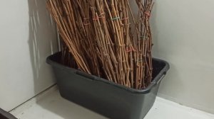 🔥Акция!🔥Скидка 30% на черенки! Заказ на черенки по Тел,WhatsApp и Telegram. : 8-918-43-794-43