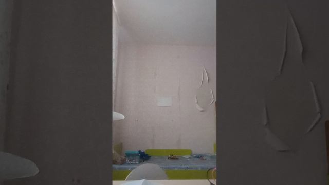 1000003337.mp4 смотреть онлайн