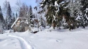 Пасека зимой. Зимняя сказка. Пасека на Алтае.На снегоходе на пасеку.