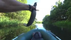 НА ЭТО КЛЮЁТ С РАННЕЙ ВЕСНЫ ДО ПОЗДНЕЙ ОСЕНИ! Рыбалка на щуку и окуня среди коряг и кувшинок.