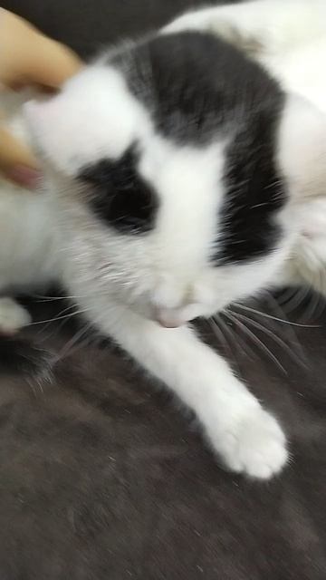 Дружба сестер смотреть онлайн