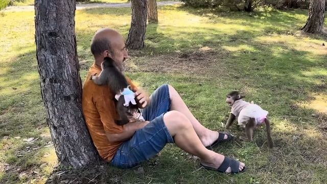 Финя не отходит от Влада ни на шаг,хоть как уговаривай, а Анфиса бегает, радуется свободе))) смотреть онлайн