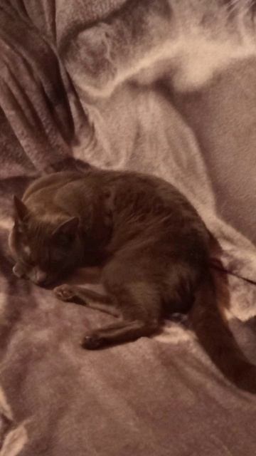 Немного фотографий с празднования моего Дня рождения!!!