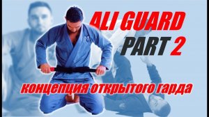Али Магомедов - КОНЦЕПЦИЯ ОТКРЫТОГО ГАРДА. ЧАСТЬ 2. Дополнения, уточнения, углубления