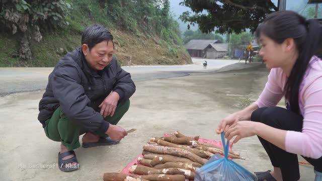 Сбор крупных клубней маниоки на склоне холма и их продажа на местном сельском рынке. смотреть онлайн
