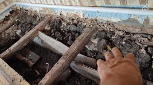 вскрыли полы в деревенском доме