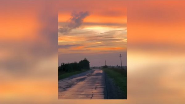 вайбовая музыка | летний вайб