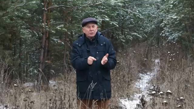 08 Бальзам для позвоночника. Станислав Лосев_ Как справиться с давлением жизни смотреть онлайн