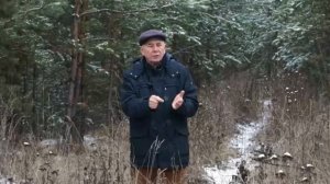 08 Бальзам для позвоночника. Станислав Лосев_ Как справиться с давлением жизни