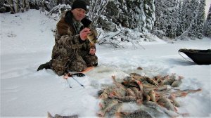 ЕСТЬ ЕЩЁ ДИКИЕ МЕСТА НА ЯМАЛЕ, ЗИМНЯЯ РЫБАЛКА ТАМ ГДЕ НЕТ НИКОГО НО МНОГО, ОЧЕНЬ МНОГО РЫБЫ....
