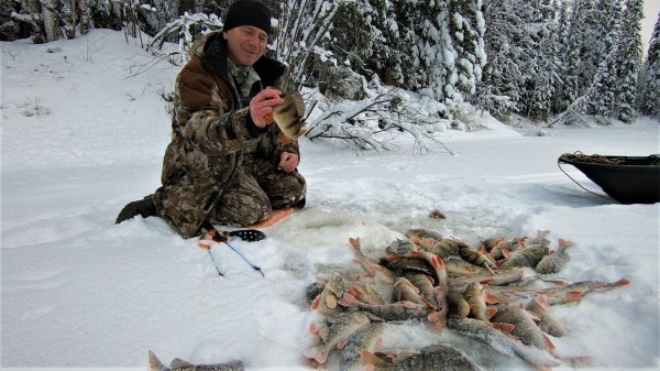 ЕСТЬ ЕЩЁ ДИКИЕ МЕСТА НА ЯМАЛЕ, ЗИМНЯЯ РЫБАЛКА ТАМ ГДЕ НЕТ НИКОГО НО МНОГО, ОЧЕНЬ МНОГО РЫБЫ....