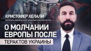 Европа молчит о терактах Киева, потому что не ценит жизни россиян: Хелали об атаке в Хорлах