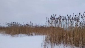 Ладожское озеро в начале января.