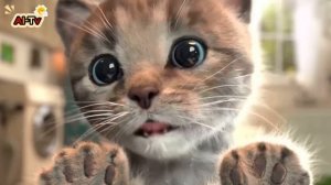 Приключения Коржика мультик для детей #видео #мультики #детям#детский #мультик #рутуб #топ