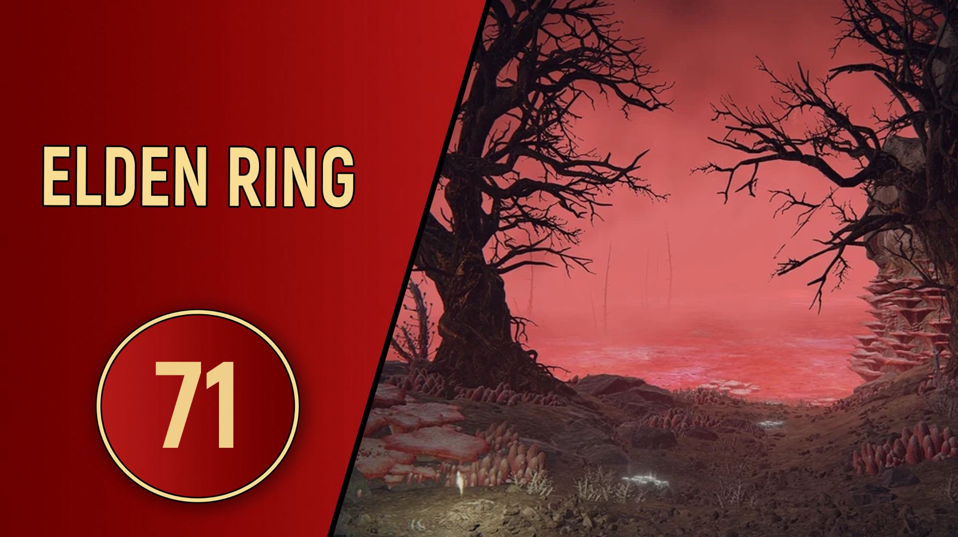 ELDEN RING ЧАСТЬ 71 - ГЕНИЙ ХИДЕТАКИ смотреть онлайн