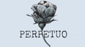 ЕЁ СЕКРЕТЫ ••• Perpetuo ••• Полное прохождение