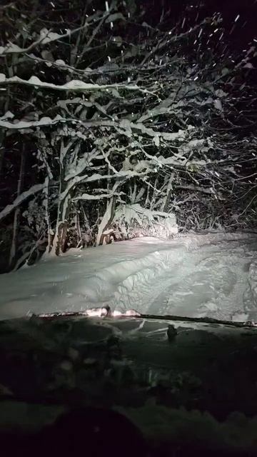 КРЫМ РУССКАЯ ЗИМА! смотреть онлайн