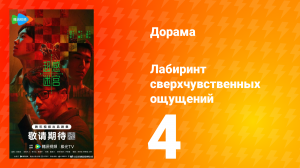 Лабиринт сверхчувственных ощущений 4 серия