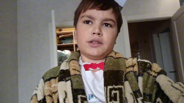 Финдус и Петсон. Механический дед мороз. Глава 5 (Перезалив)