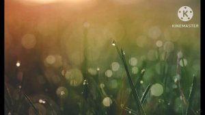 Preview 2 BFDI 2763 V28