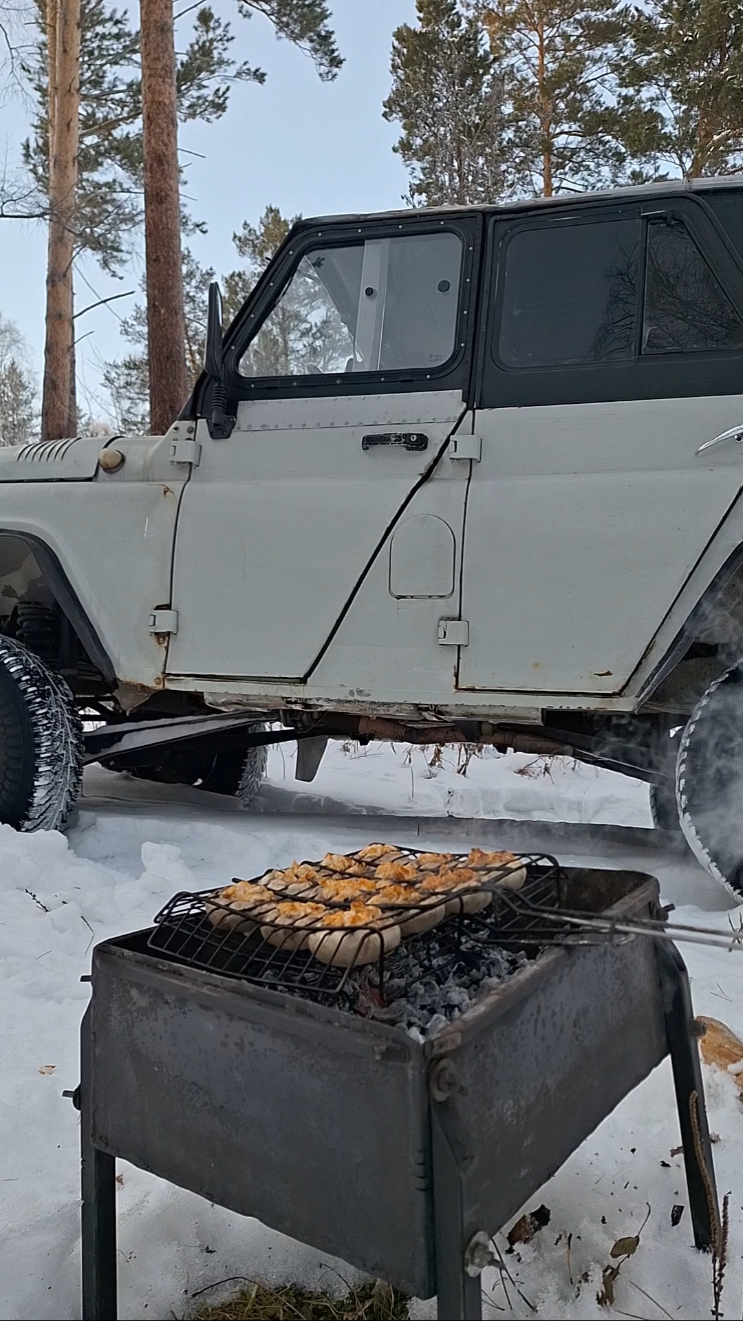 Фаршированные  шампиньоны на углях!