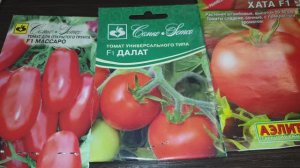 Новинка. Сорт томата без Белокрылки. Реально избавиться от вредителя.