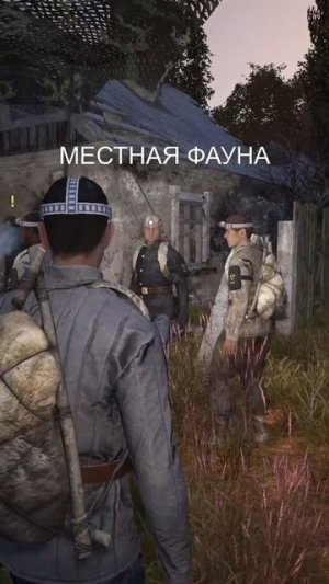 Как начать играть в Сталкер РП