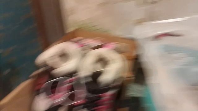 Съездила на шоппинг с детьми смотреть онлайн