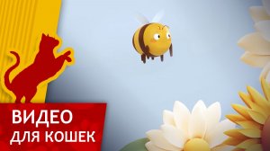Видео для кошек - Поймай Пчелу (Ваш кот будет доволен!)
