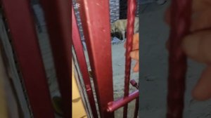 Сезон каш открыт