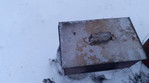 Голец горячего копчения