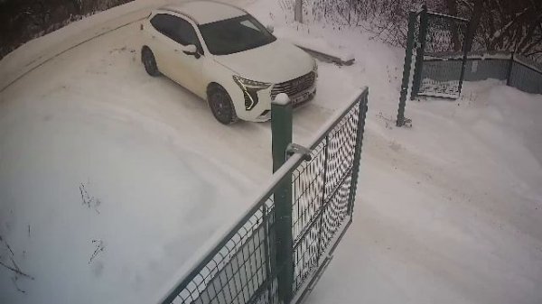 LIVE: channel74055310