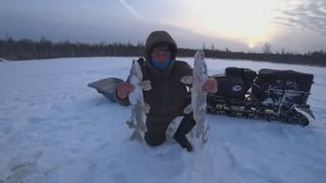 ОНИ ВЫШЛИ И КЛЮНУЛИ, ТОЛЬКО КОГДА?! ПОСТАВИЛ ЖЕРЛИЦЫ В ЛОГОВО БОБРОВ \ ПЕРВЫЙ ВЫЕЗД ПОСЛЕ МОРОЗОВ !