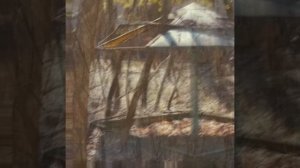 эдит с чернобылем