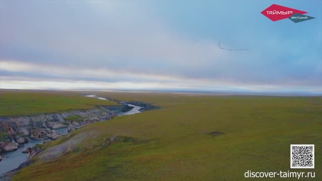 Таймыр - Арктика смотреть онлайн