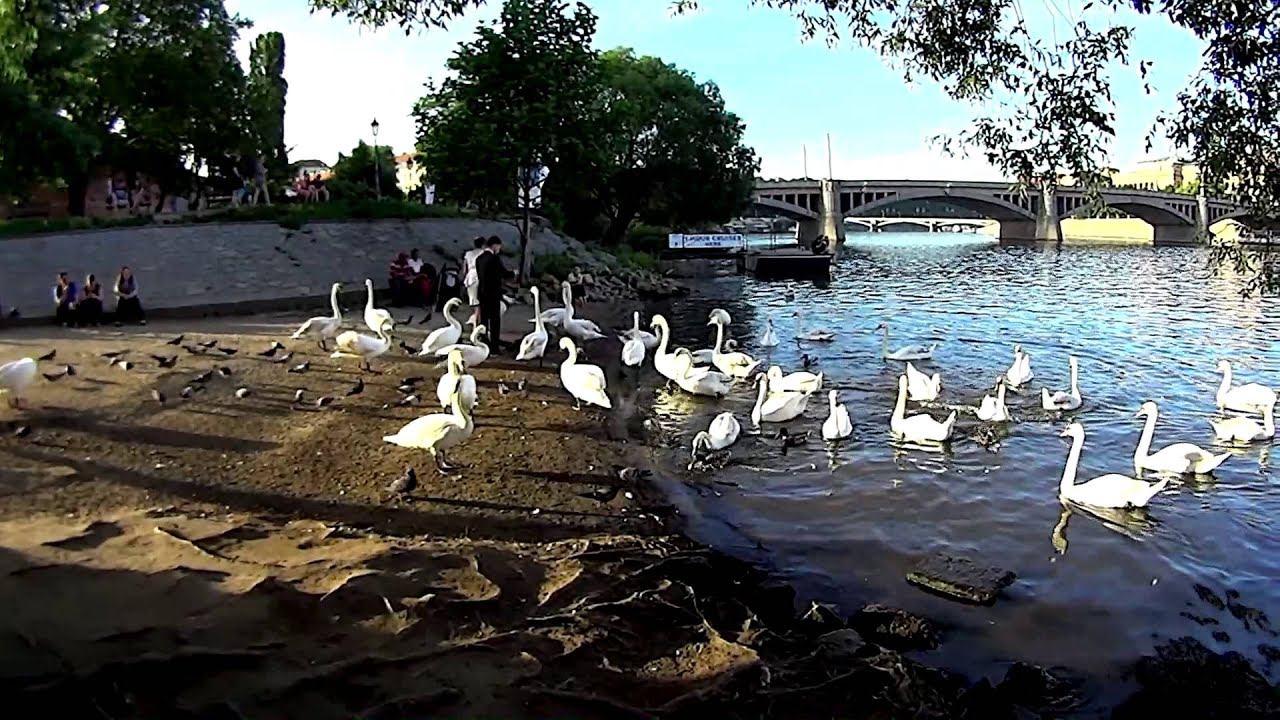 Prague 2014