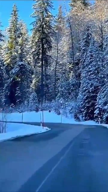 Самое главное что у тебя есть - это жизненные силы. смотреть онлайн