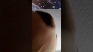 чипи чипи чапа чапа