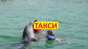 Морское такси