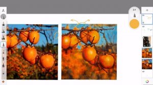 Марина Федорова разбор с хурмой