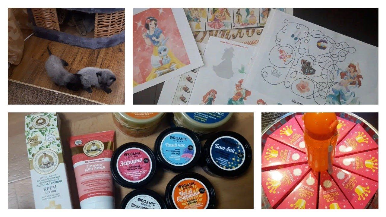 Vlog. Подготовка к дню рождения/ Много котят/ Заказ смотреть онлайн