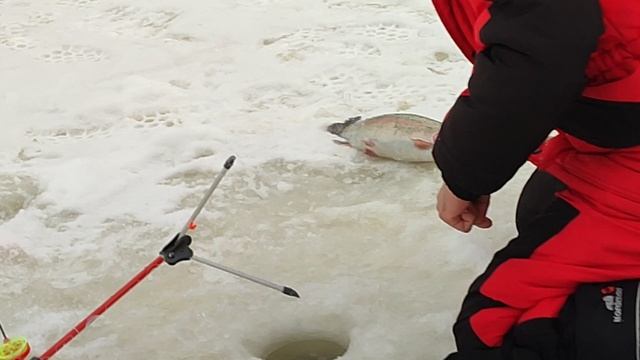 Основной водоём. На резину смотреть онлайн