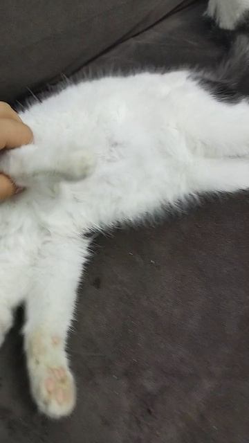 что любит , то любит смотреть онлайн